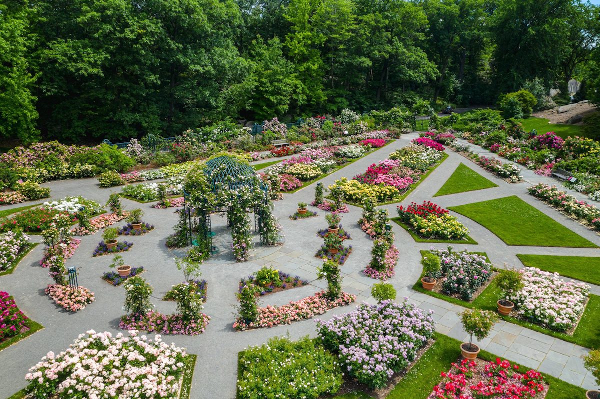 10 mejores jardines botánicos en los EE. UU. (2022) - 21