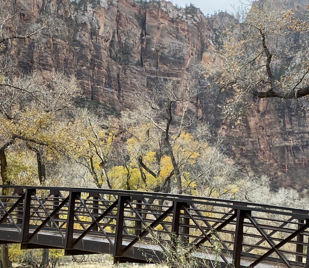 9 razones por las que me encantó visitar el Parque Nacional Zion en el invierno - 9