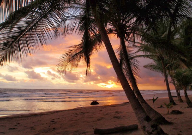 11 mejores cosas que hacer en Playa del Coco, Costa Rica - 11