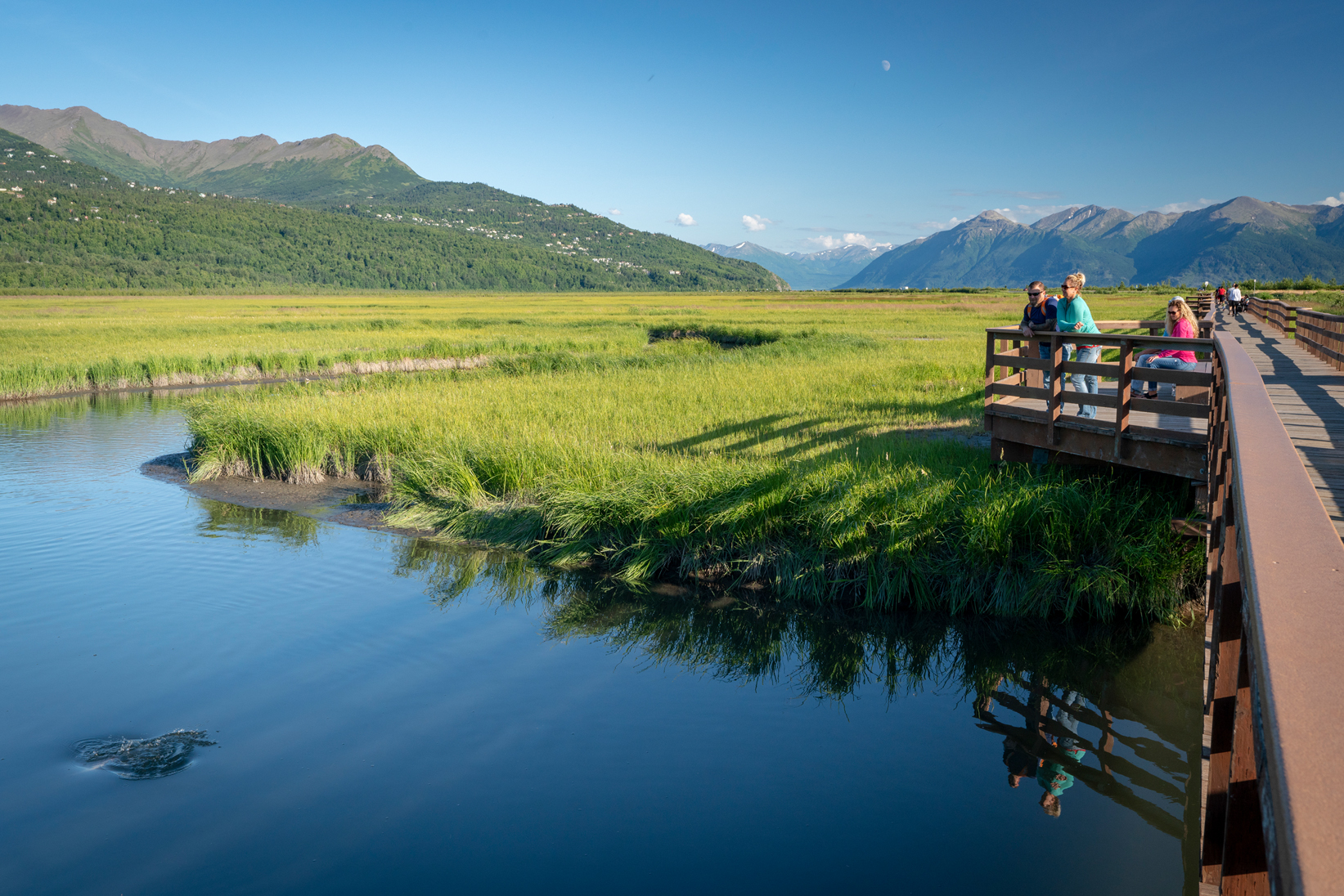 Los mejores viajes de día de Alaska de Anchorage - 9