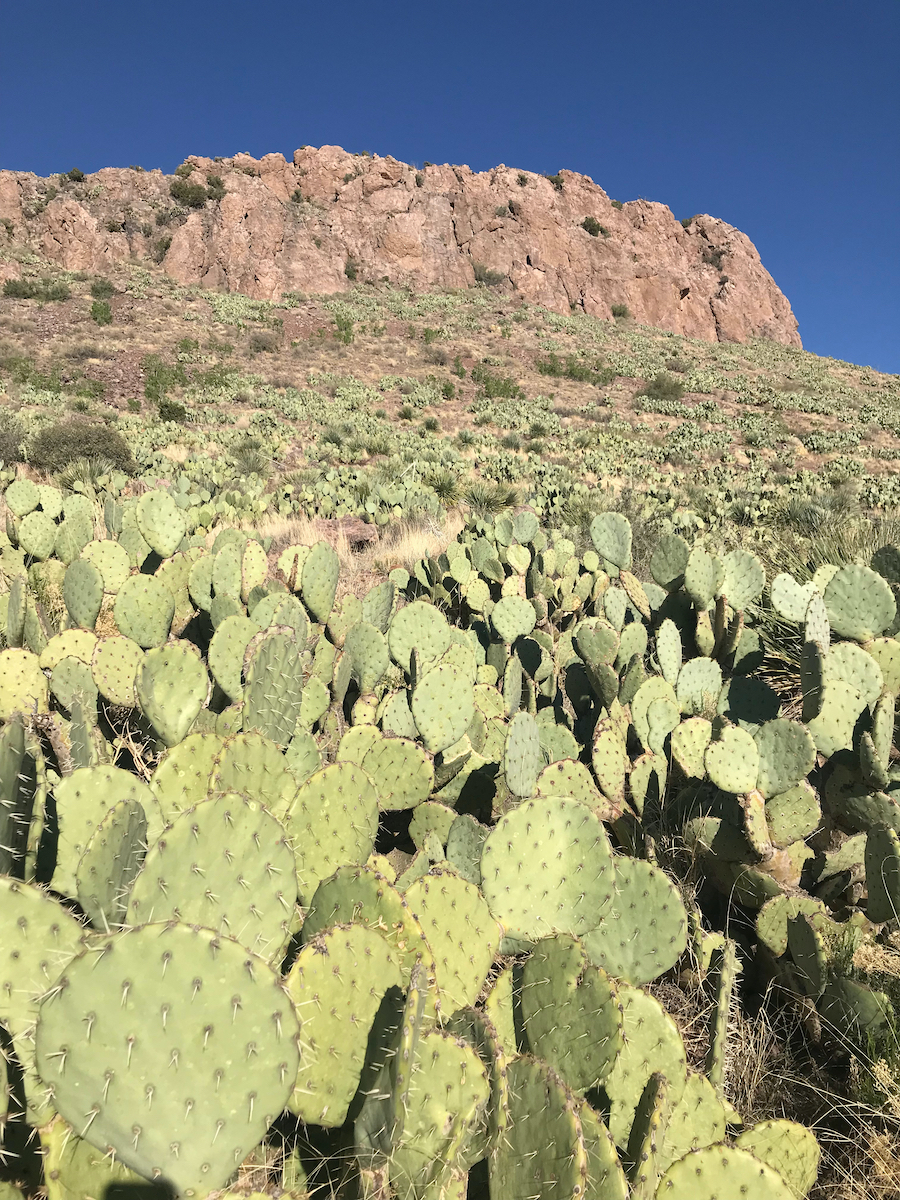 7 Fantásticos viajes de día de El Paso - 7