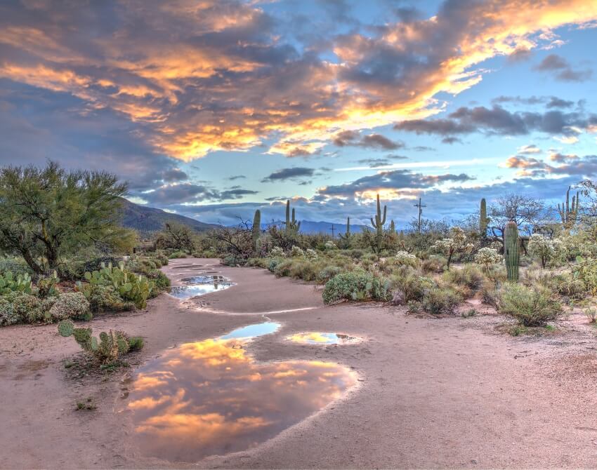 29 mejores cosas que hacer en Arizona y lugares para visitar - 15