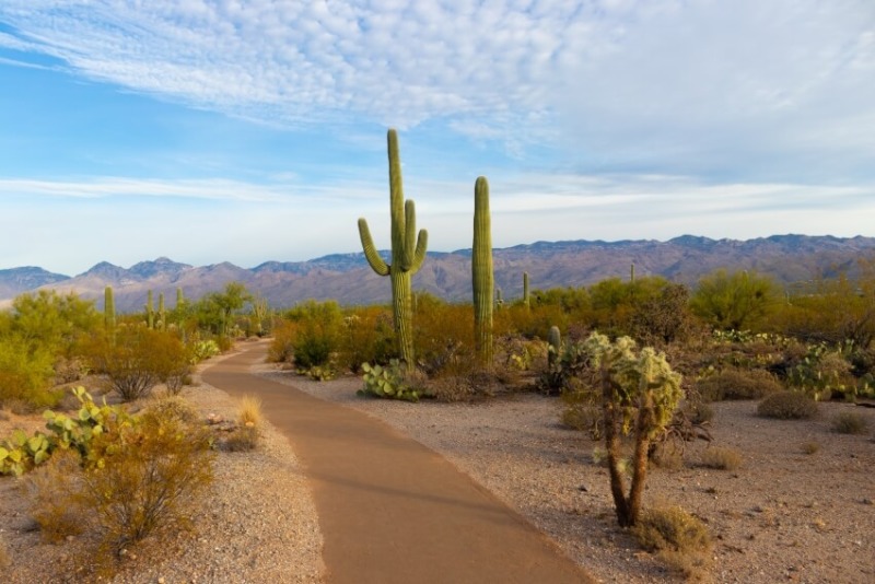 29 mejores cosas que hacer en Arizona y lugares para visitar - 7