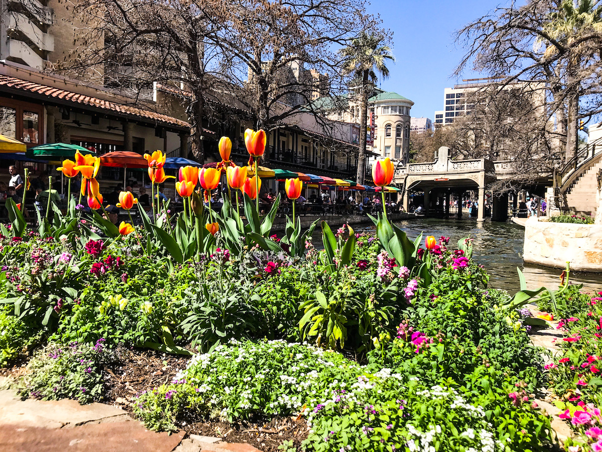 6 Fantásticos viajes de día de Austin que son perfectos durante la primavera - 11