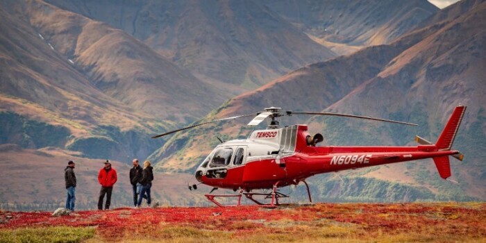8 mejores recorridos por helicópteros Denali: opciones de vista de alto vuelo - 9