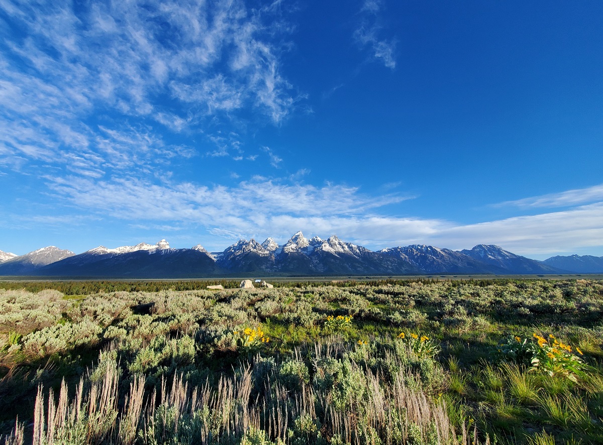 Jackson vs. Jackson Hole, Wyoming: ¿Cuál es la diferencia? - 7