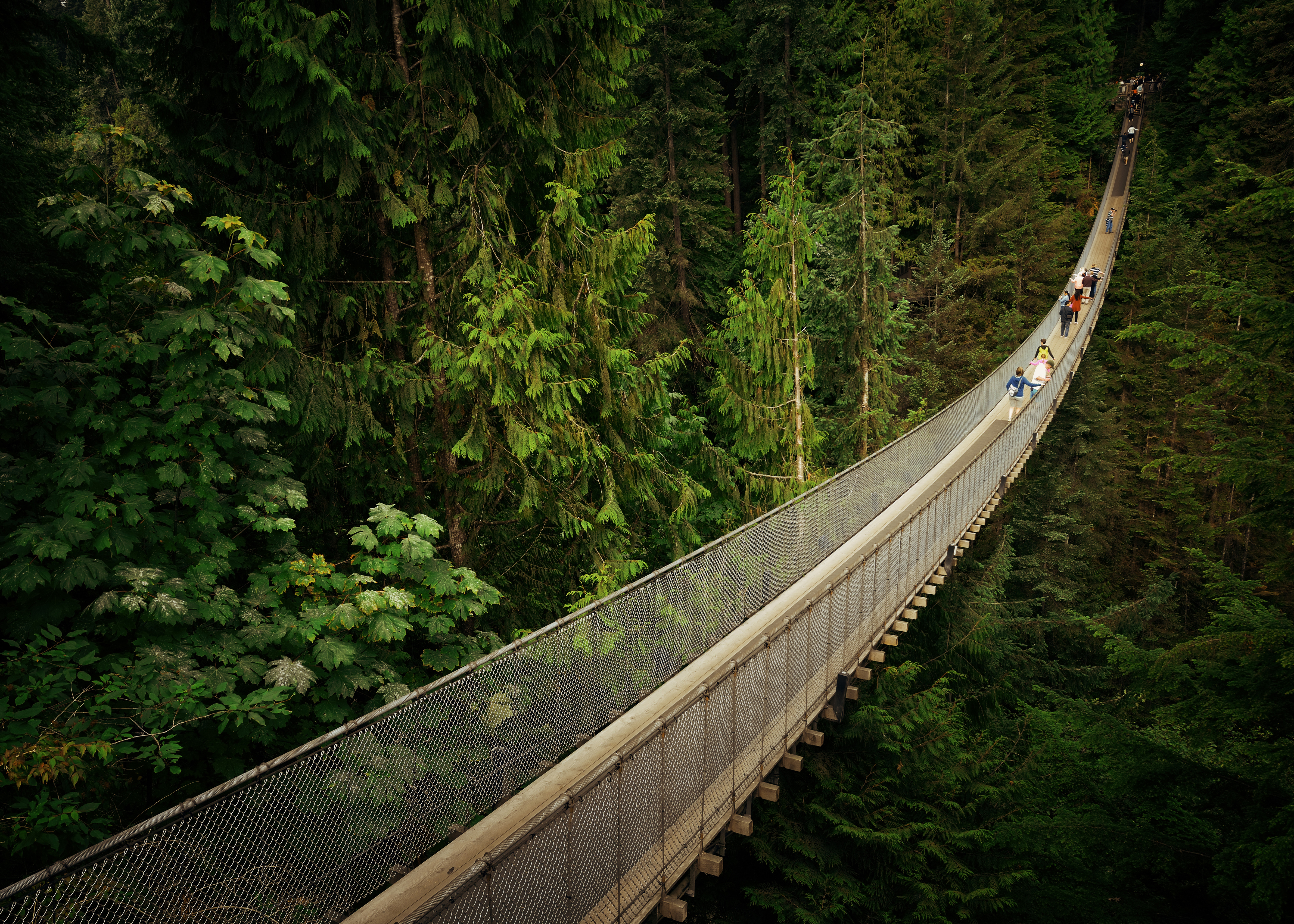 Los 10 puentes de suspensión más increíbles del mundo - 19