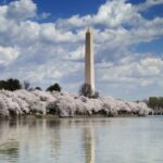 10 mejores recorridos a pie de Washington D.C.
