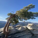 Haga un viaje épico a cinco parques nacionales de California