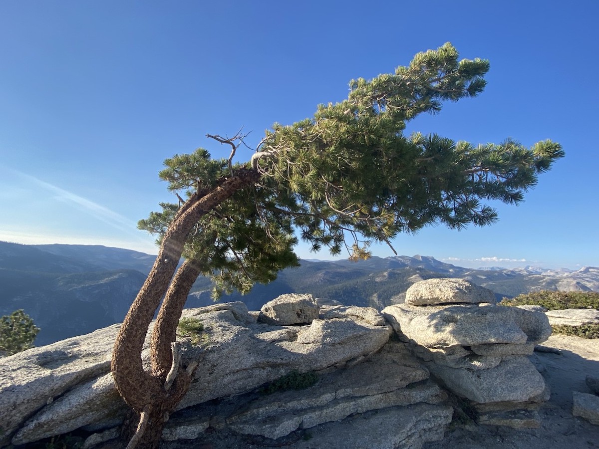 Haga un viaje épico a cinco parques nacionales de California - 579