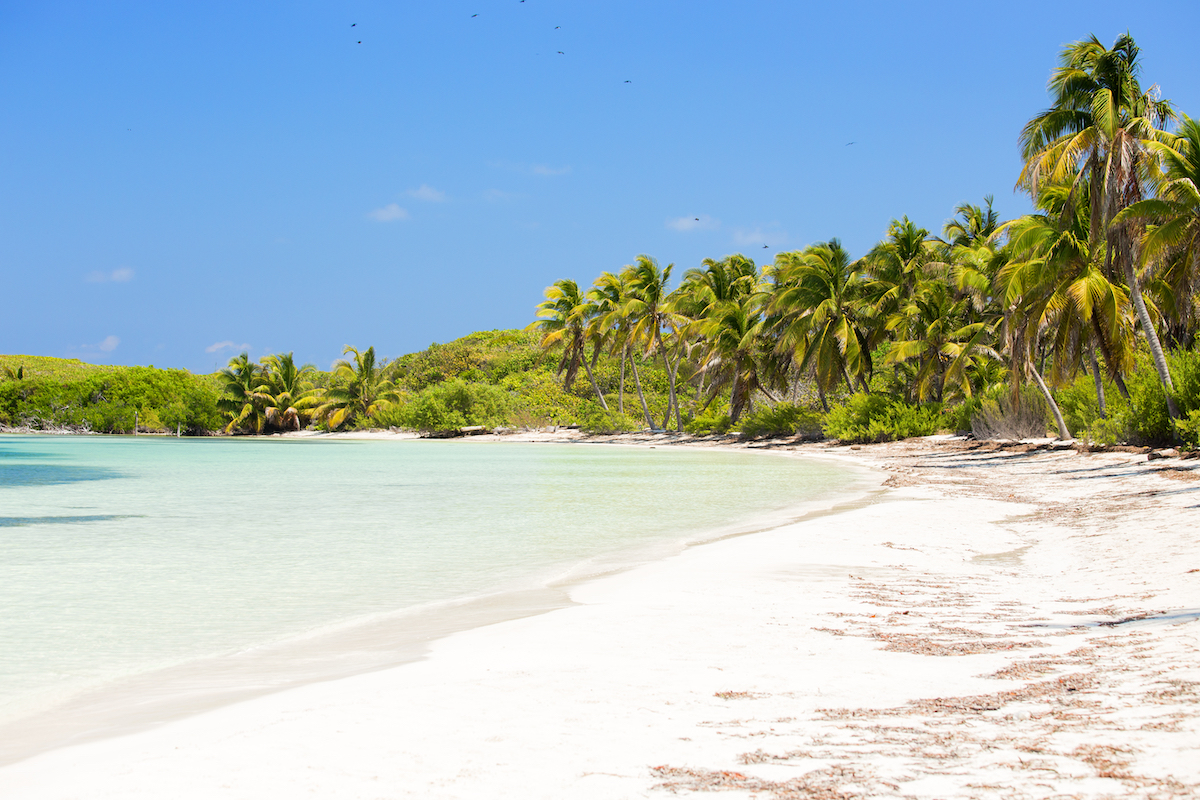 8 Experiencias fantásticas sobre Isla Mujeres para los amantes de la naturaleza - 7