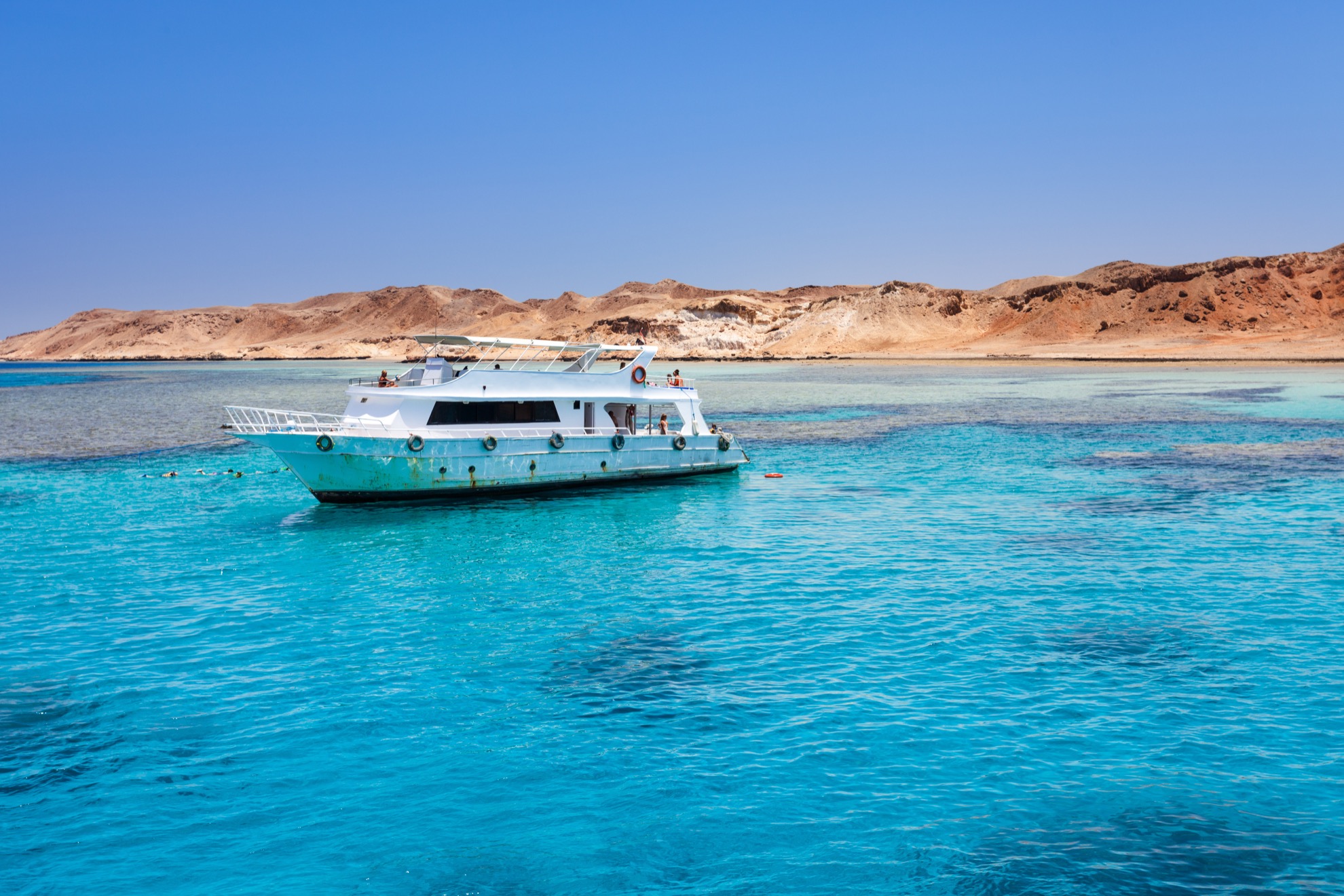 Snorkeling en el Mar Rojo de Egipto: qué esperar de esta increíble experiencia - 15