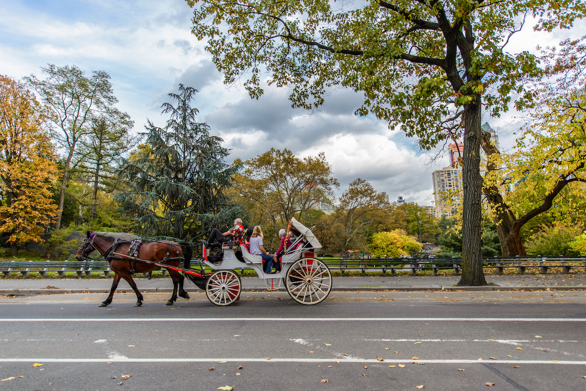 13 mejores cosas que hacer en el Central Park de Nueva York - 7