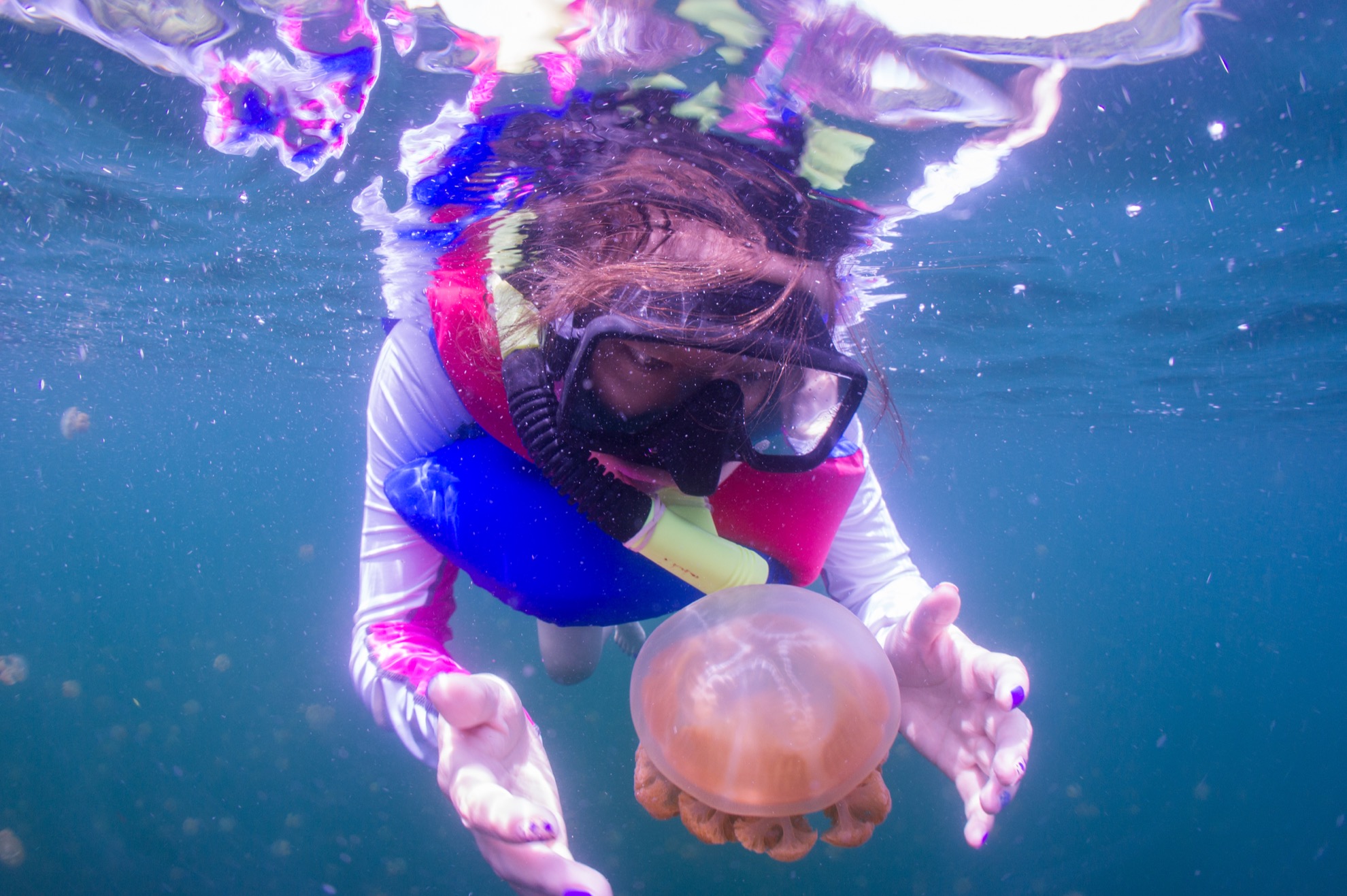 Cómo nadar con miles de medusas doradas en Palau, Micronesia - 11