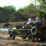 6 mejores cosas que hacer en Safari