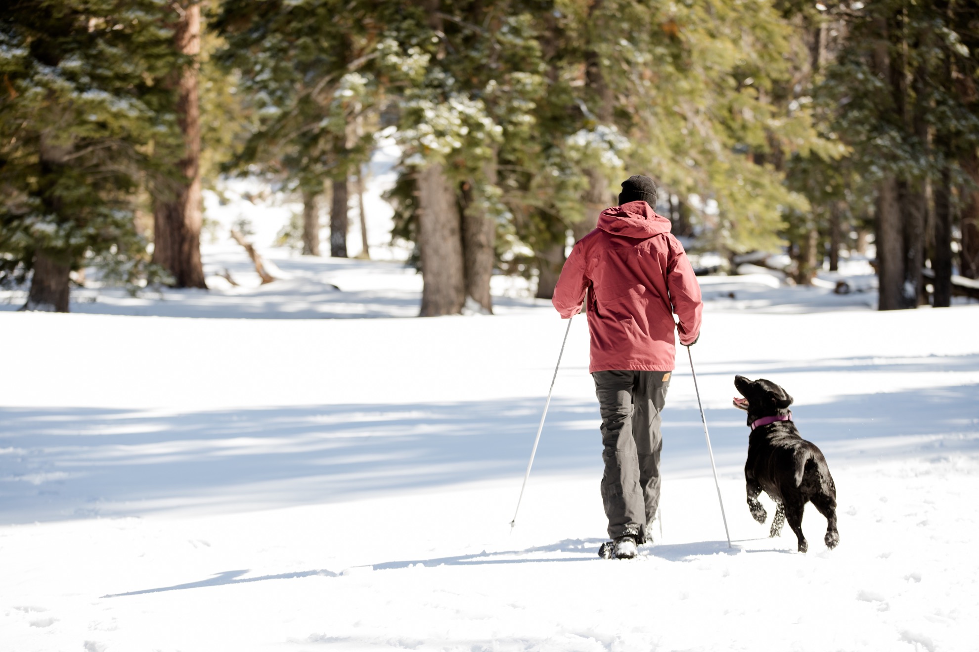 Las mejores cosas que hacer en Big Bear, California en el invierno - 7