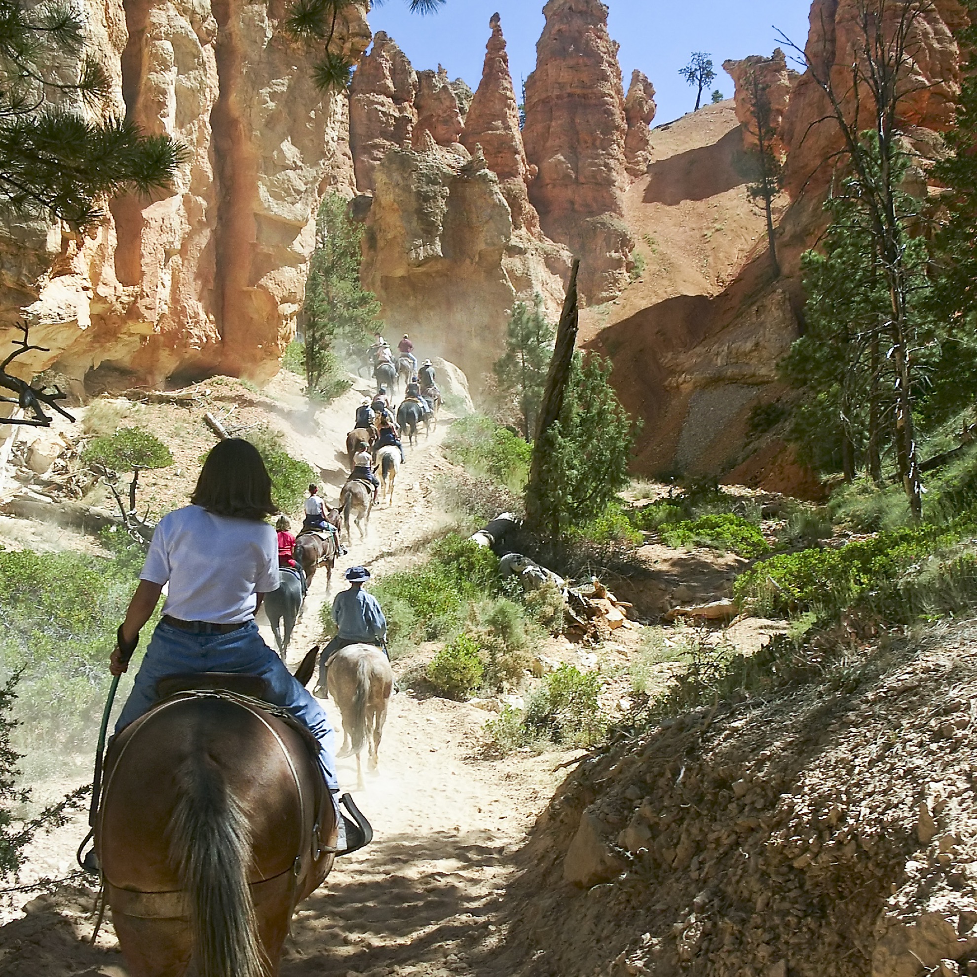 Parque Nacional Bryce Canyon: 10 cosas que saber antes de visitar - 21