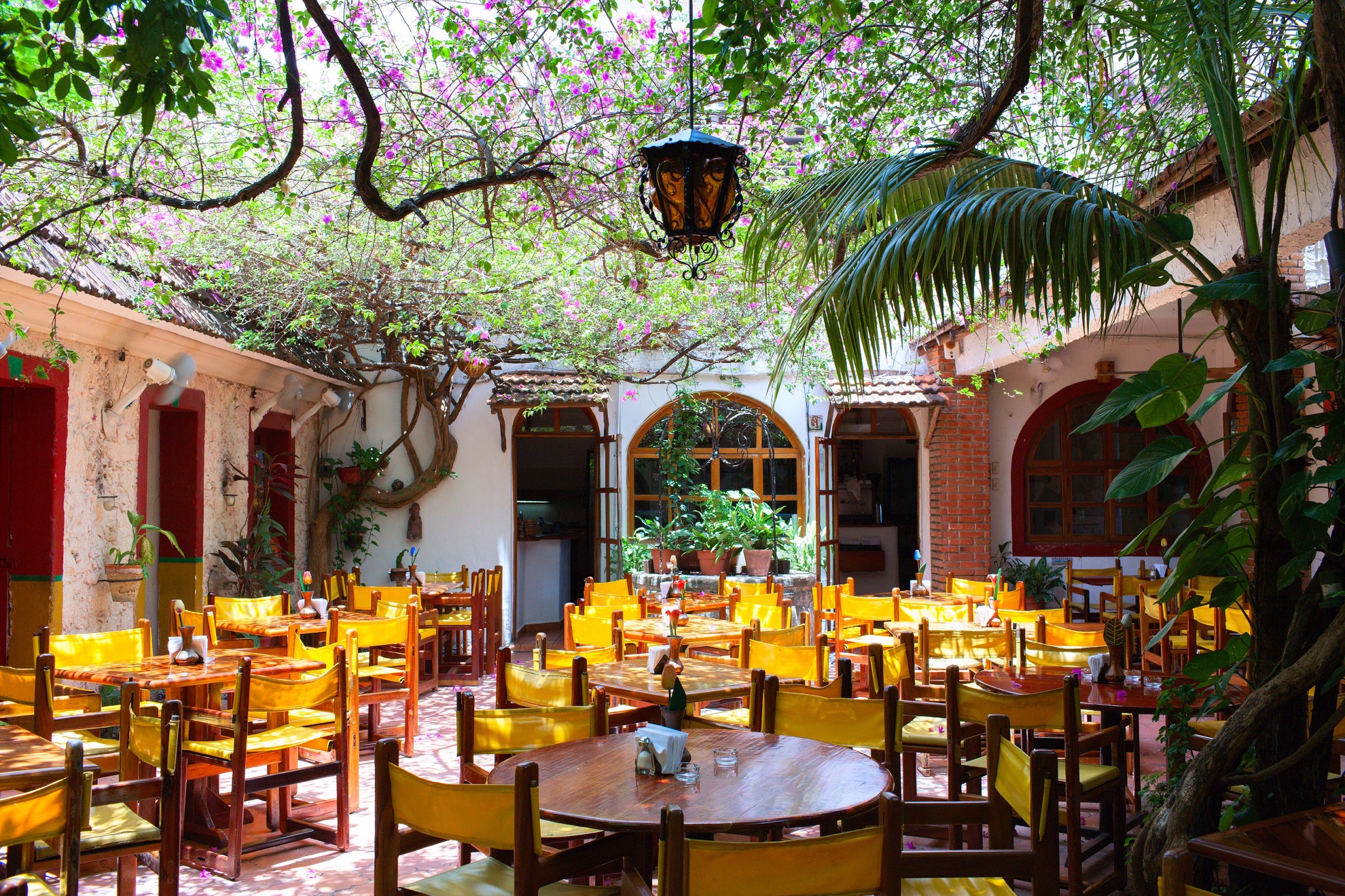 8 consejos para cenar como un local en México - 3