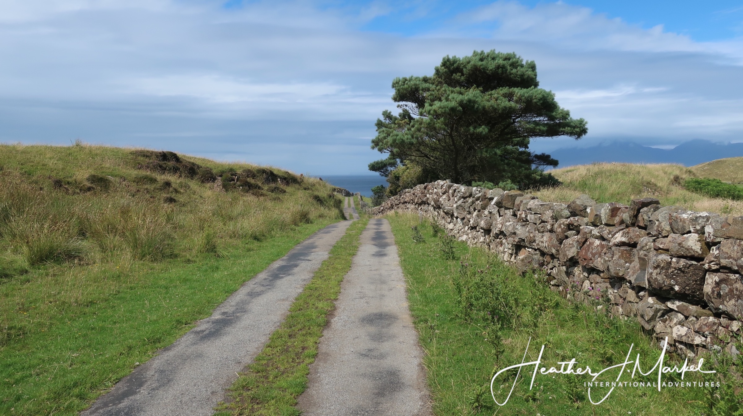 Una visita a la idílica Isla de Muck, Escocia - 335