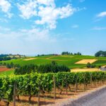 8 cosas que hacer en el valle de Willamette además de la degustación de vinos