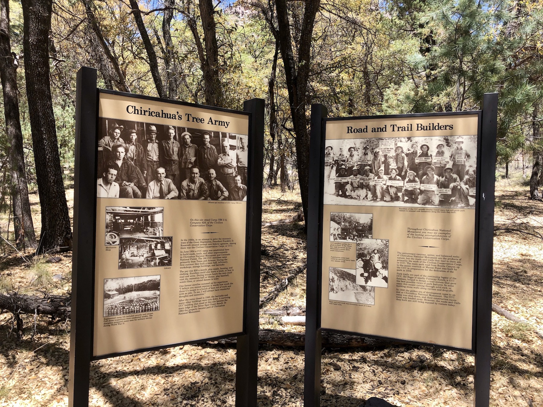 Monumento nacional de Chiricahua: 9 cosas que saber antes de visitar - 15