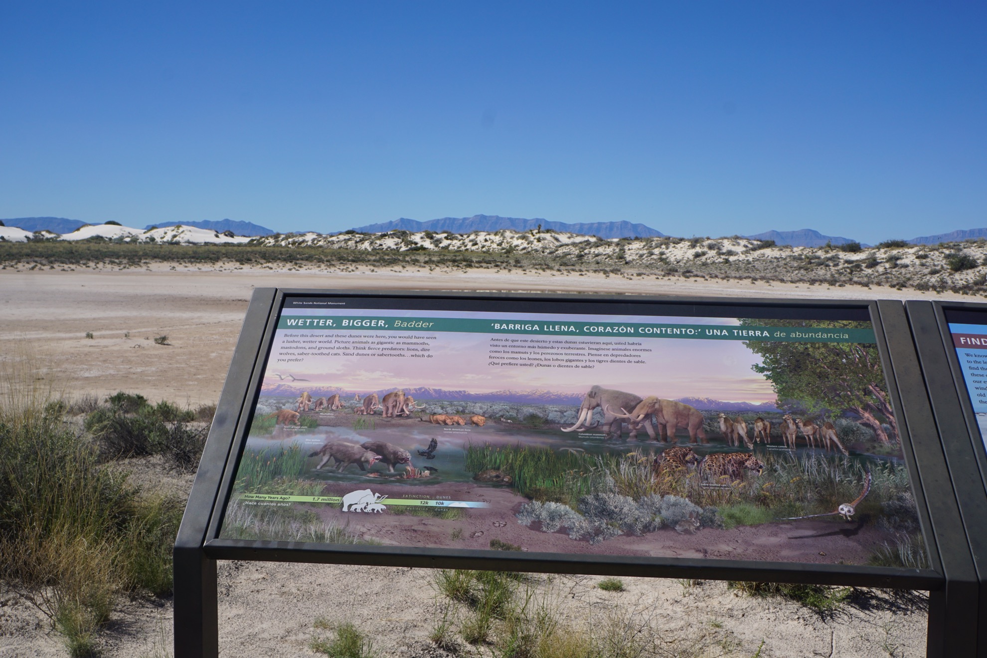 7 cosas que debe saber sobre el Parque Nacional White Sands - 9