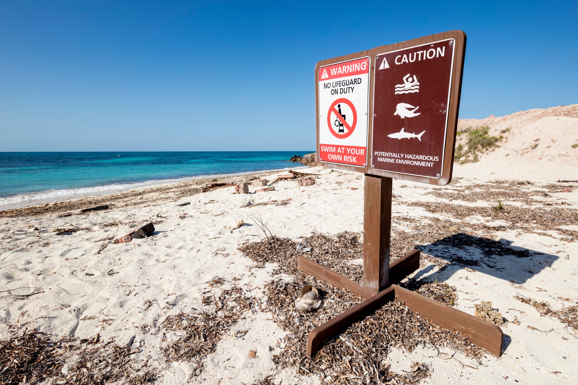 Esta playa en Florida se conoce como la capital mundial de tiburones - 9