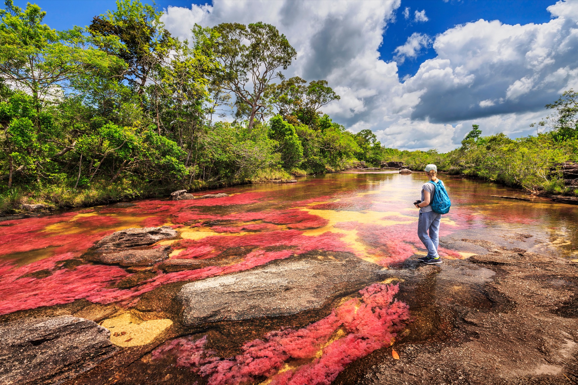 El "arco iris líquido" de Colombia pone en una impresionante exhibición natural - 11
