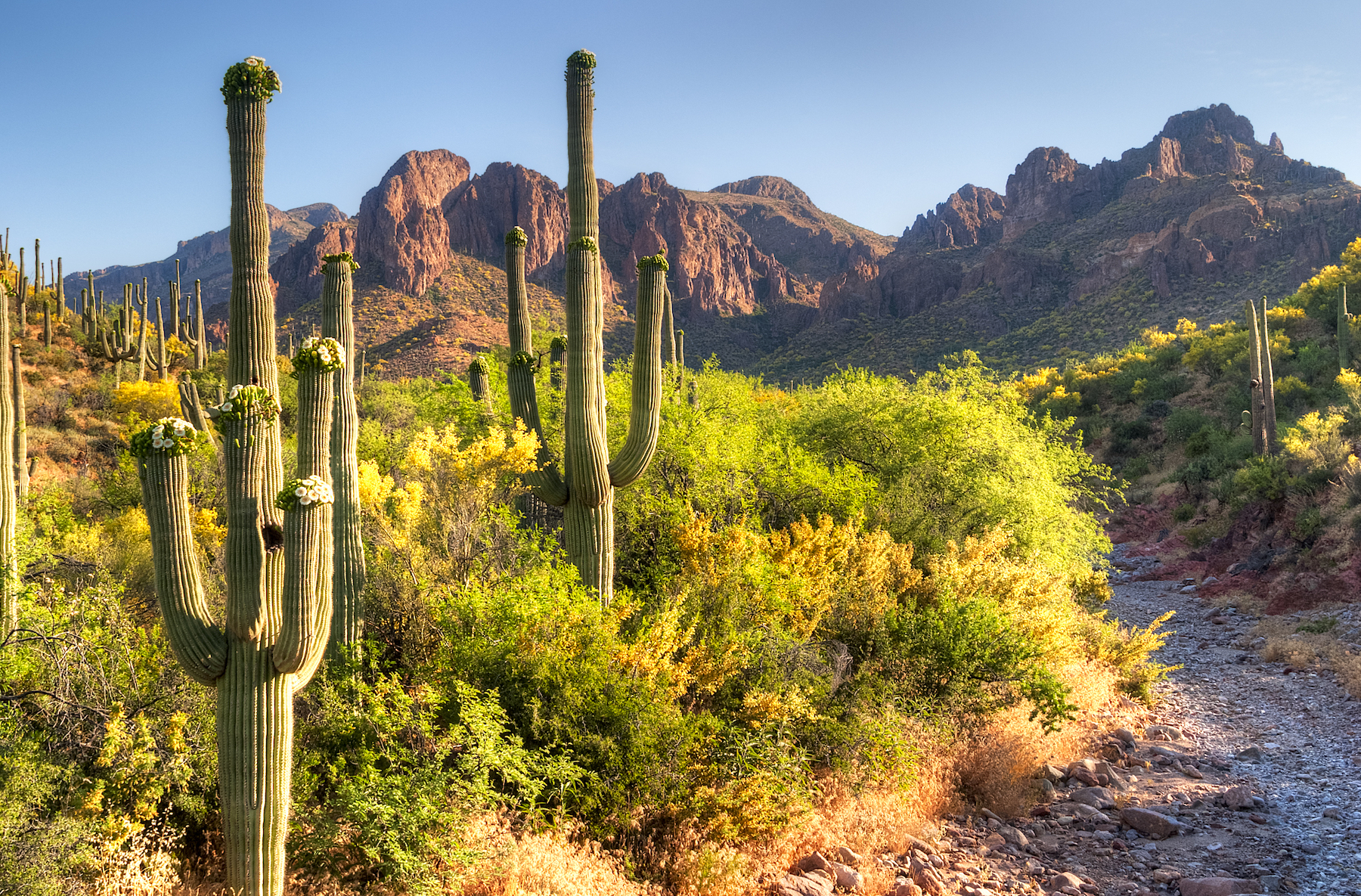 Cómo disfrutar la belleza de las montañas de superstición de Arizona - 7