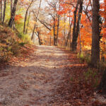 Por qué hermoso Eureka Springs es la escapada de otoño perfecta