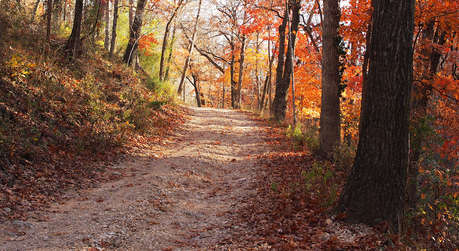Por qué hermoso Eureka Springs es la escapada de otoño perfecta - 99
