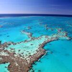 Gran Barrera de arrecife vs. Belice Barrier Reef: 6 diferencias clave para saber