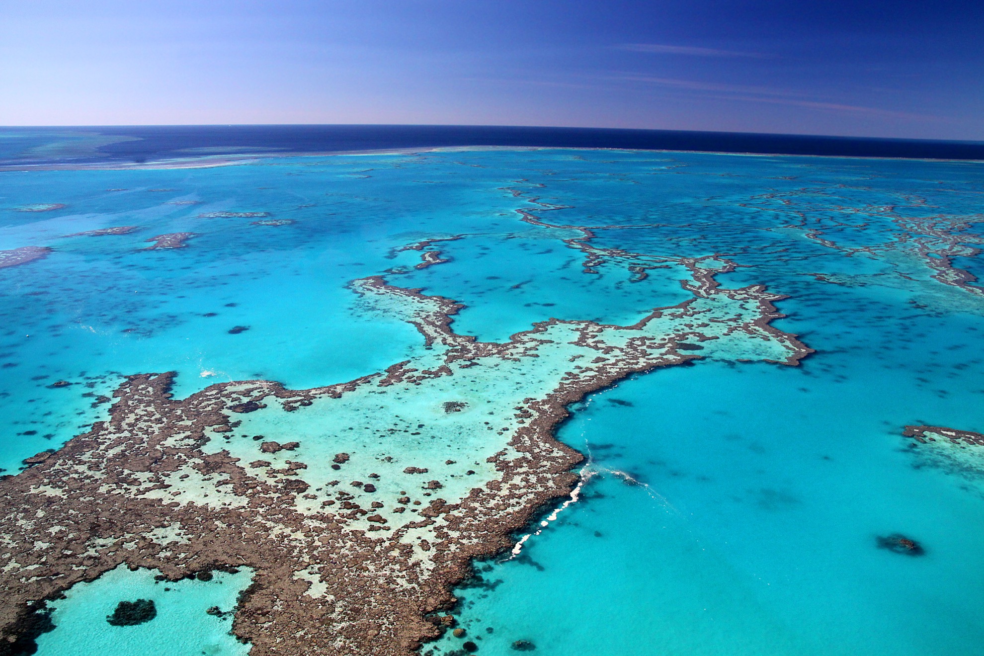 Gran Barrera de arrecife vs. Belice Barrier Reef: 6 diferencias clave para saber - 209