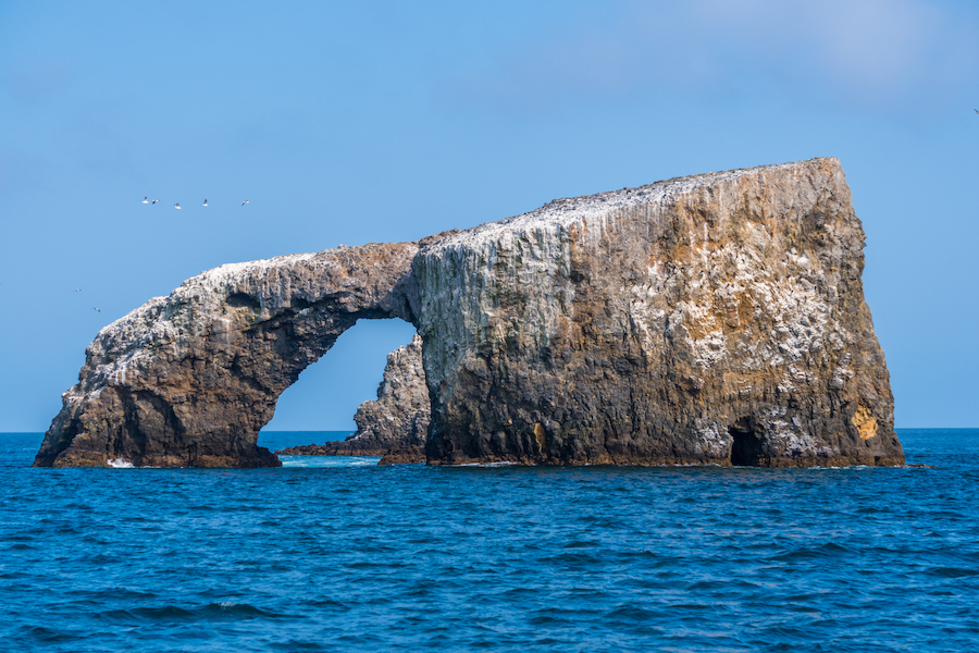 Parque Nacional de las Islas Channel: 11 cosas que debe saber antes de visitar - 9