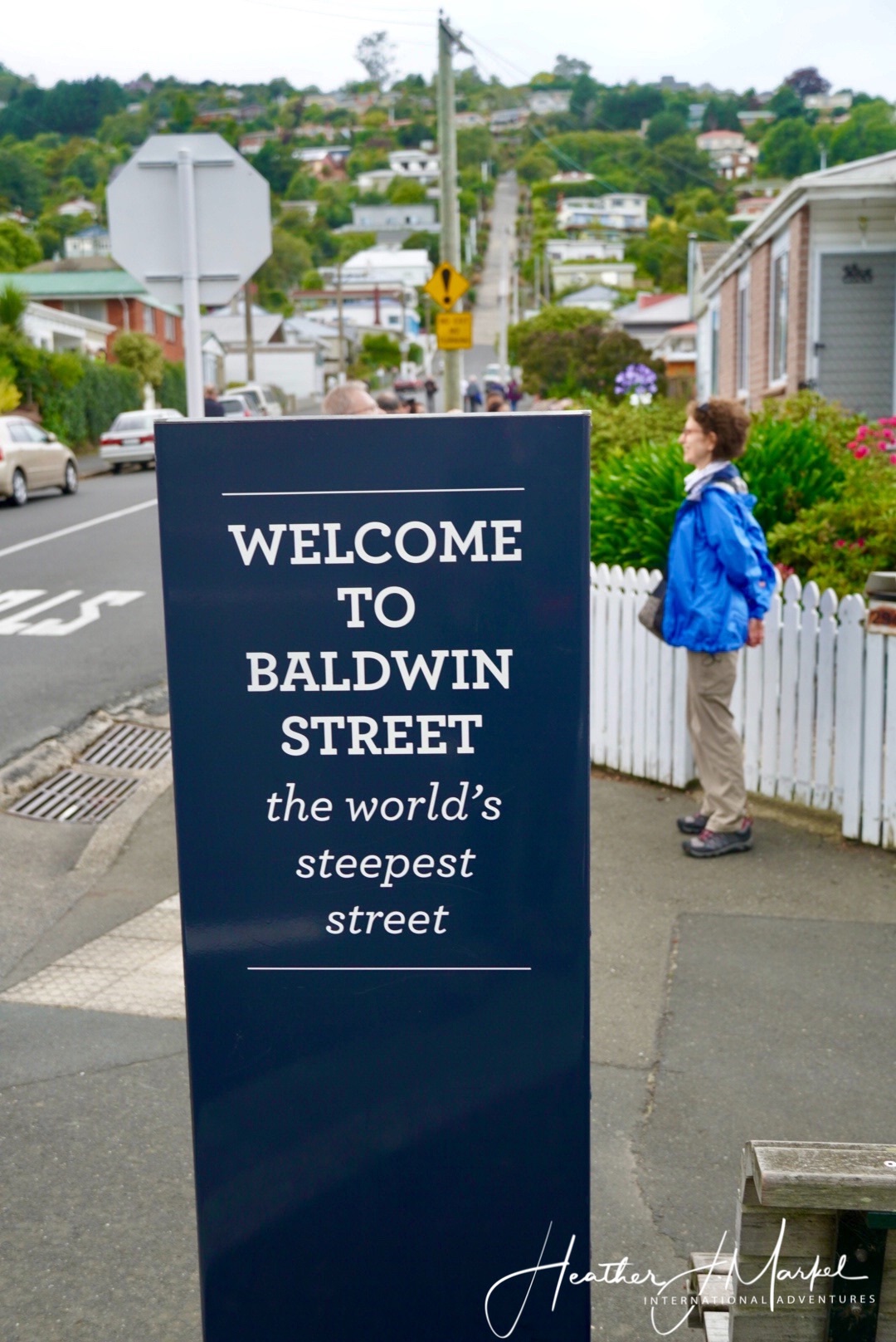 Nueva Zelanda: 9 cosas que desearía haber sabido antes de visitar - 7