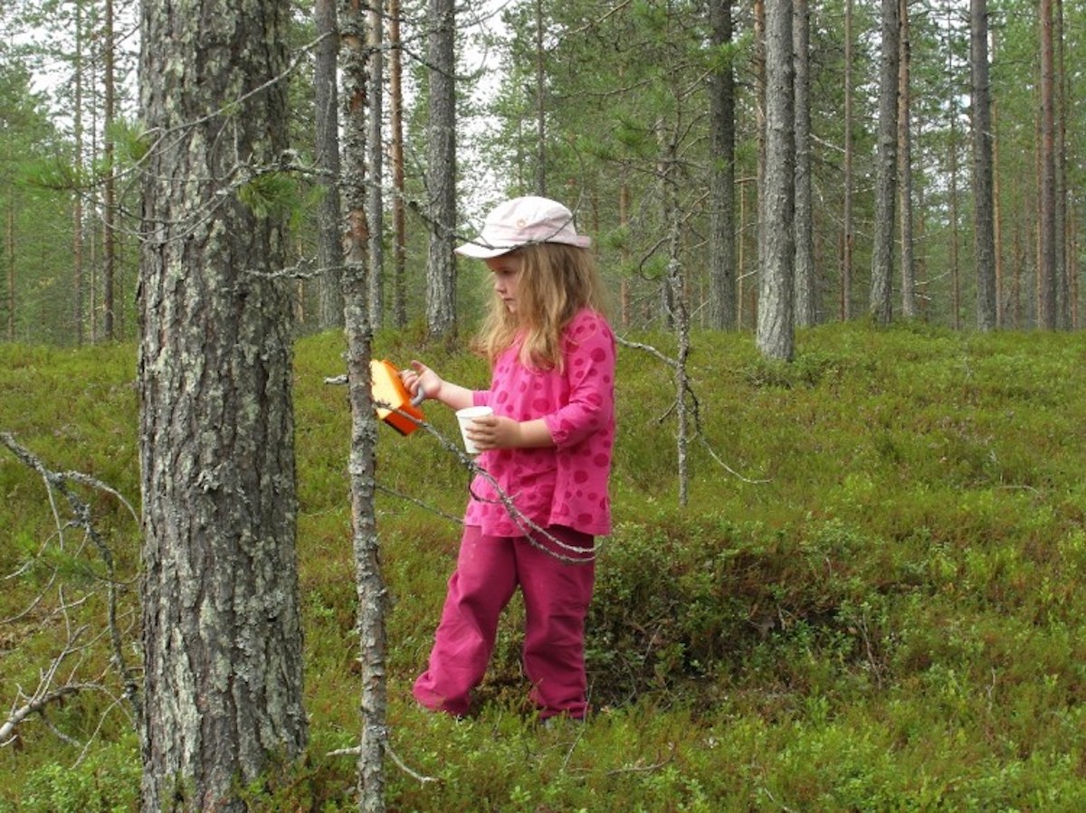 5 cosas fantásticas que hacer en la taiga salvaje de Finlandia - 13