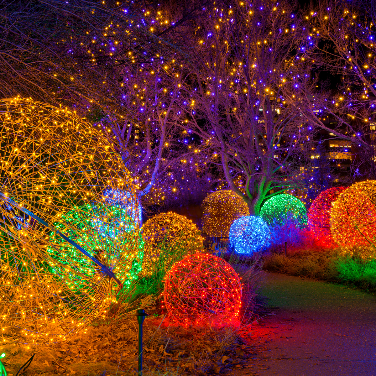 Las mejores luces navideñas del jardín botánico en los EE. UU. - 11