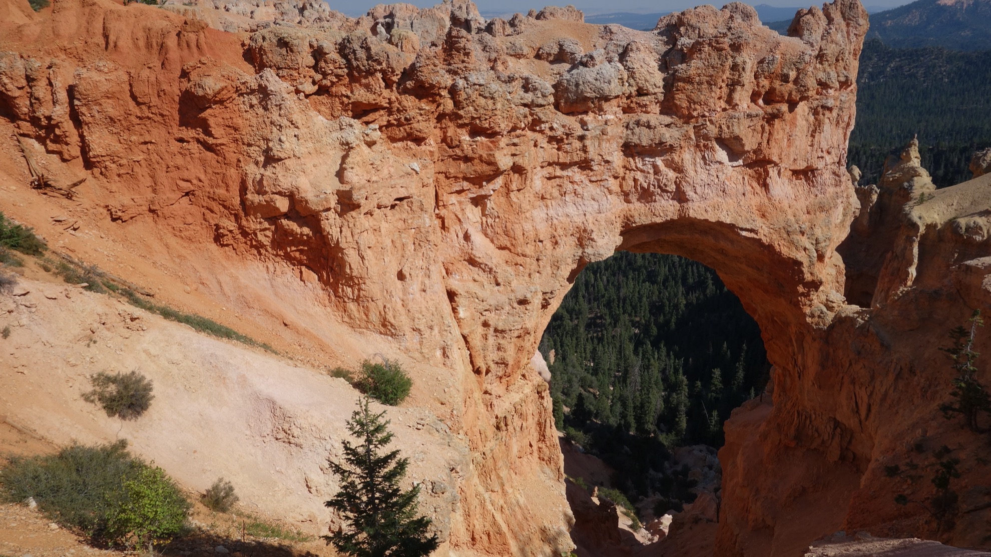 Parque Nacional Bryce Canyon: 10 cosas que saber antes de visitar - 13