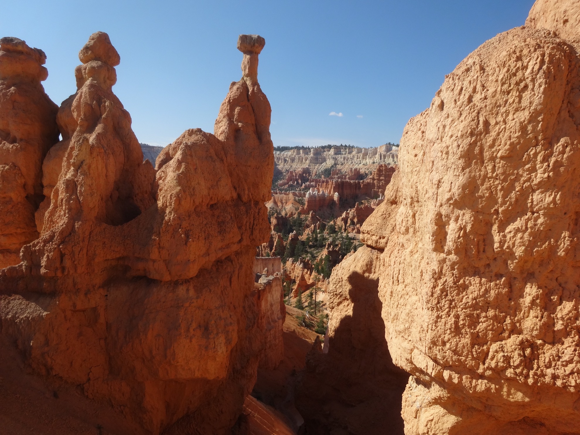Parque Nacional Bryce Canyon: 10 cosas que saber antes de visitar - 19