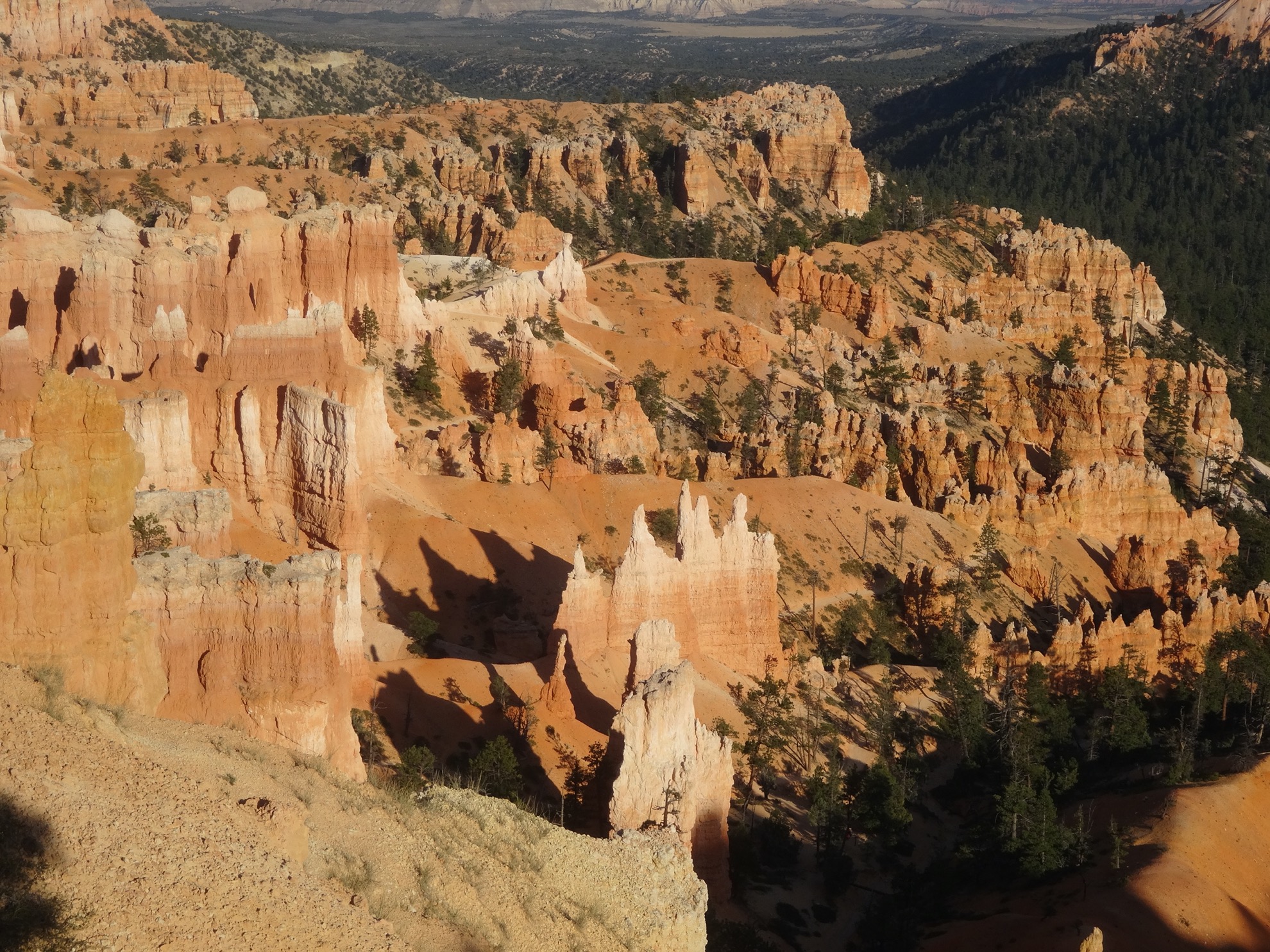 Parque Nacional Bryce Canyon: 10 cosas que saber antes de visitar - 23
