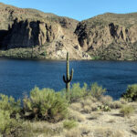 Viaje de día de Phoenix: conducir el sendero Apache