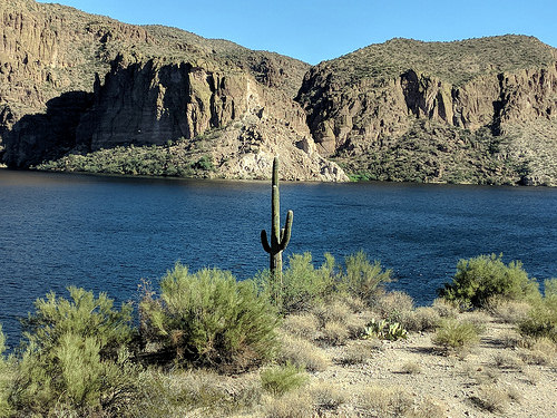 Viaje de día de Phoenix: conducir el sendero Apache - 411