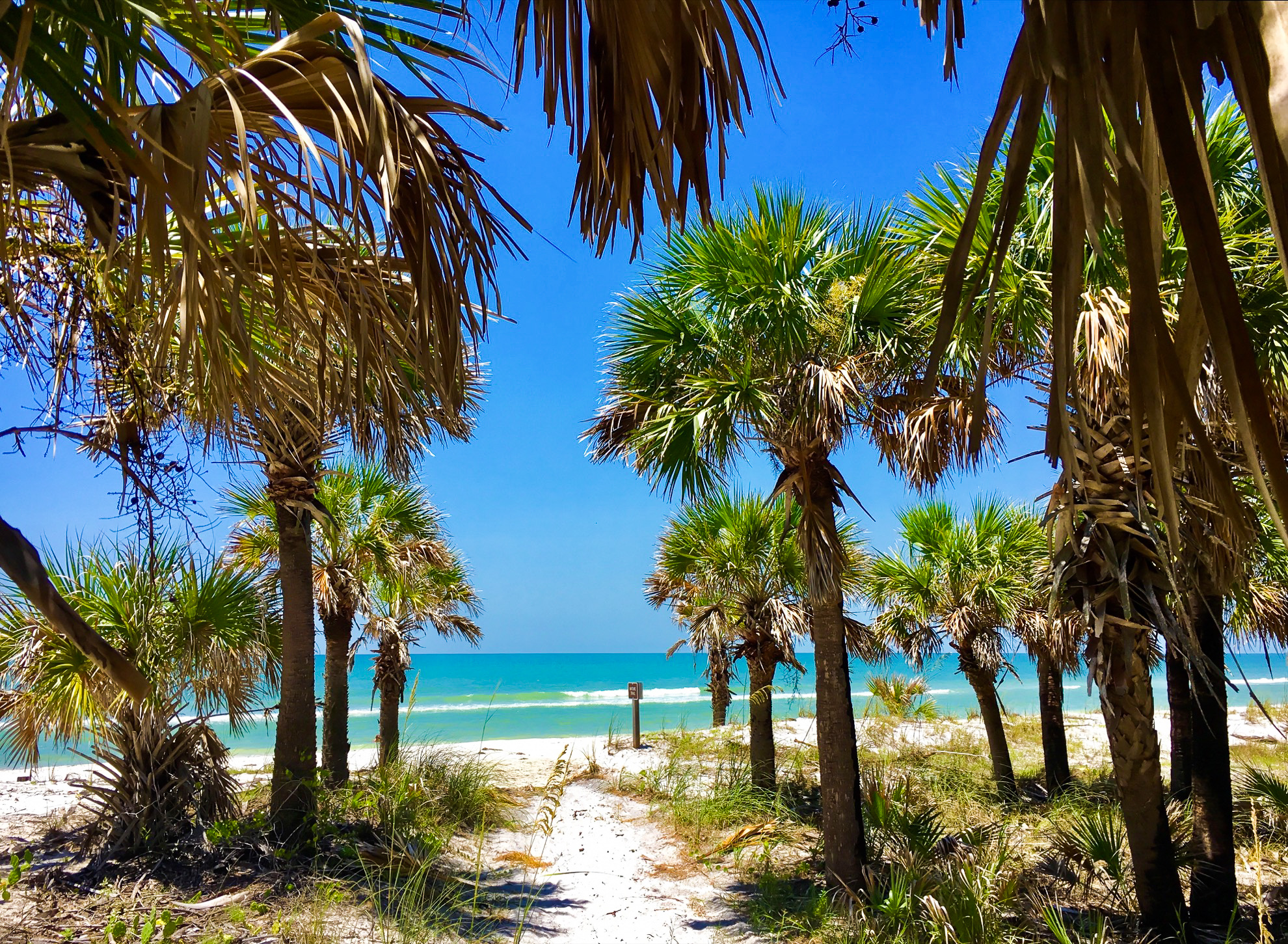 Las 10 mejores playas de Estados Unidos en 2019 según el Dr. Beach - 11