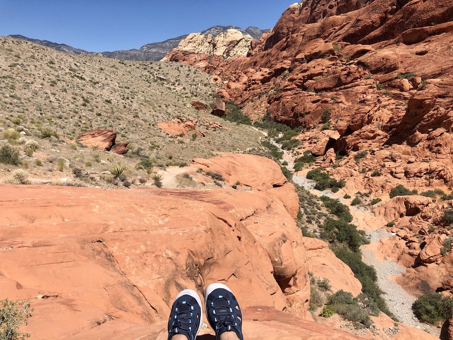 9 mejores caminatas para experimentar en Nevada - 433