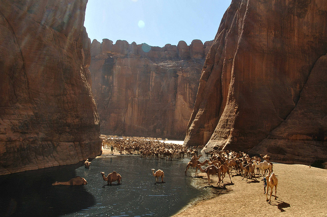 Guelta d’Archei: La joya escondida del Sahara - 21