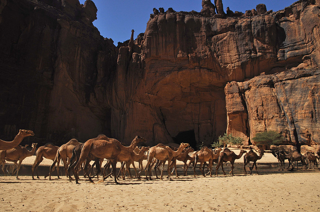 Guelta d’Archei: La joya escondida del Sahara - 19