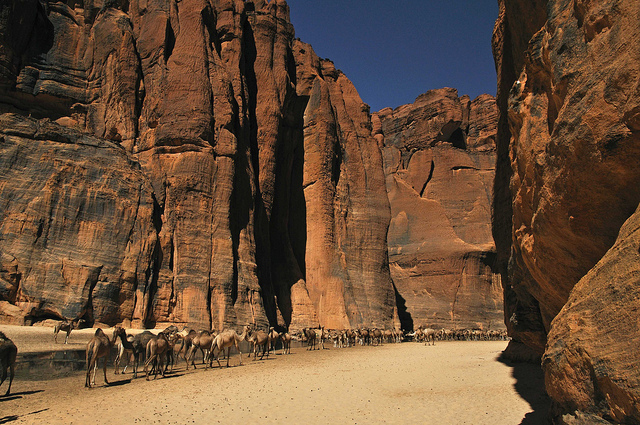 Guelta d’Archei: La joya escondida del Sahara - 17