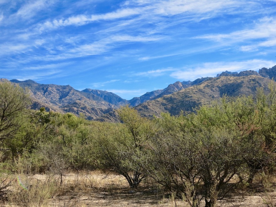 11 mejores cosas que hacer en Oro Valley, AZ - 9