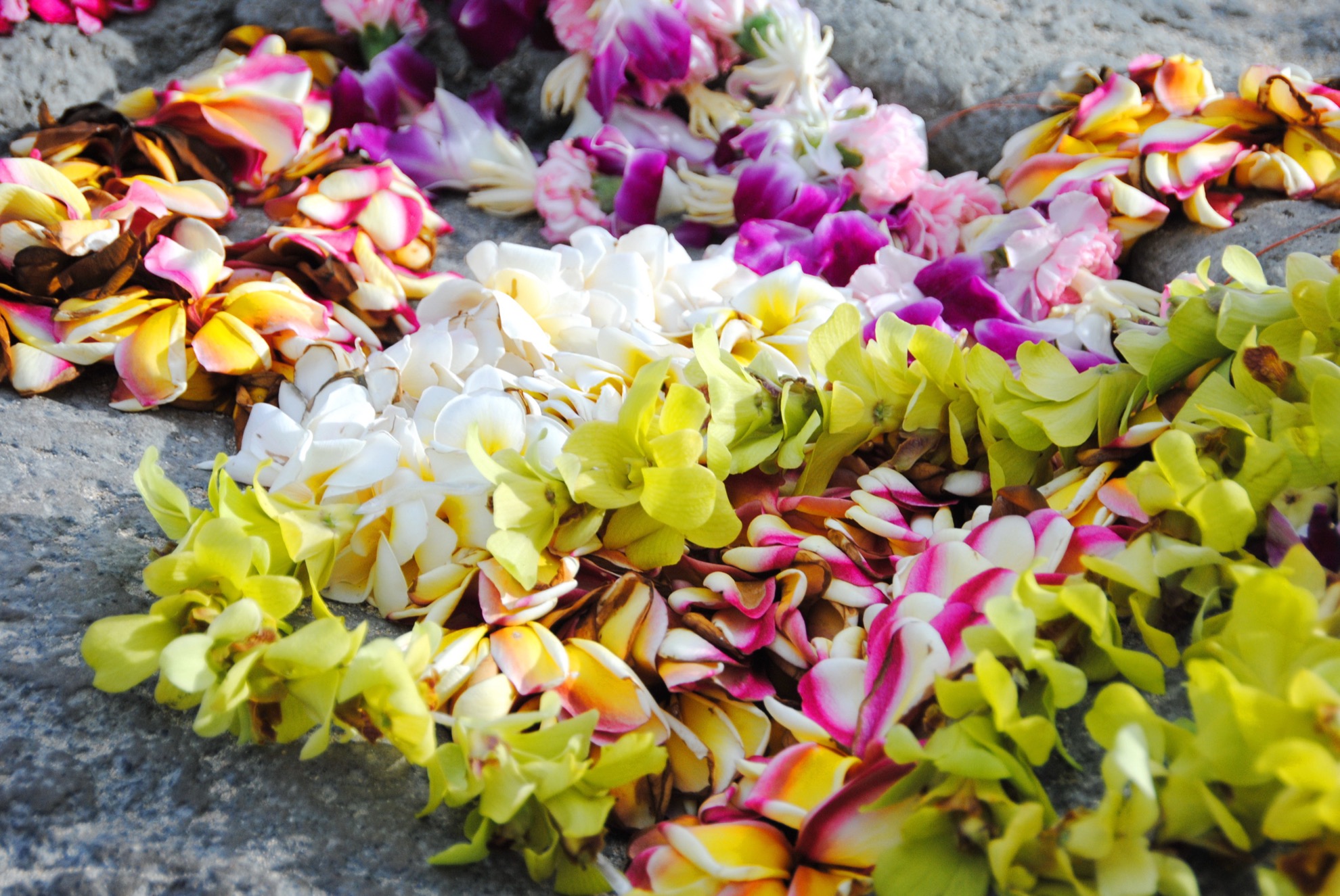 Estos son los mejores regalos y recuerdos hawaianos auténticos - 9
