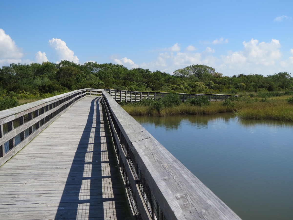 9 mejores caminatas en la costa del Golfo de EE. UU. Desde Pensacola hasta Nueva Orleans - 19